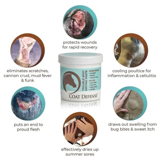 Coat Defense horse care products: powder, shampoo, and paste.