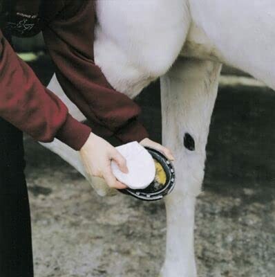 Person cleaning a horse's hoof with a brush.