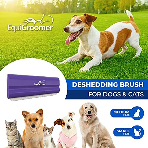 EquiGroomer deshedding brush for dogs and cats with various pets in a grassy field.