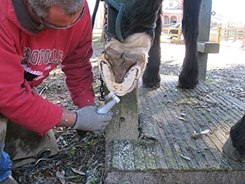 Person trimming a horse's hoof with a tool