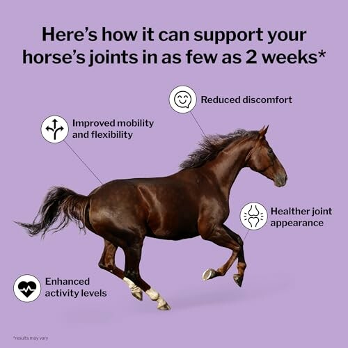 Diagram showing benefits of joint support for horses, including improved mobility, reduced discomfort, healthier joint appearance, and enhanced activity levels.