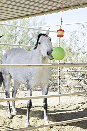 A happy horse playing with the Horsemen's Pride Combo Horse Stall Toy